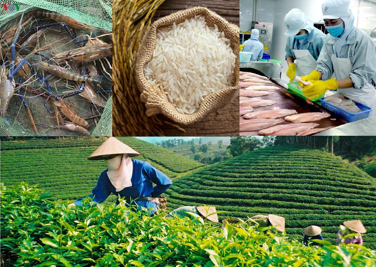 KẾT NỐI CUNG CẦU NÔNG SẢN VIỆT NAM – HÀ LAN