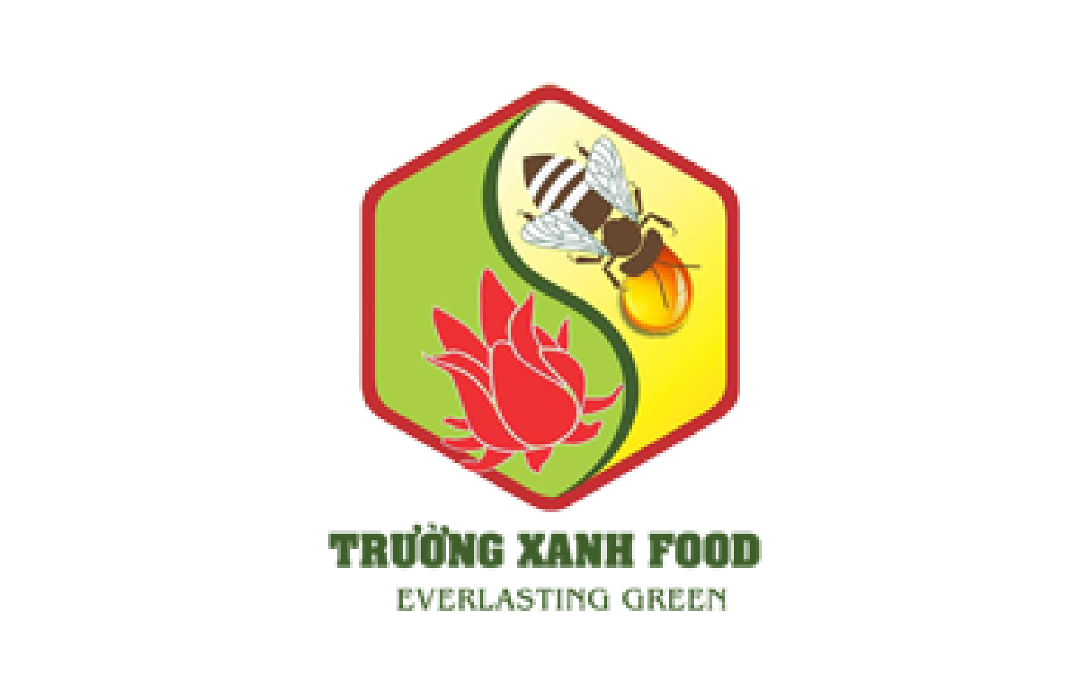 Cooperating in promoting trade and supporting the of Truong Xanh Food products to domestic and international markets