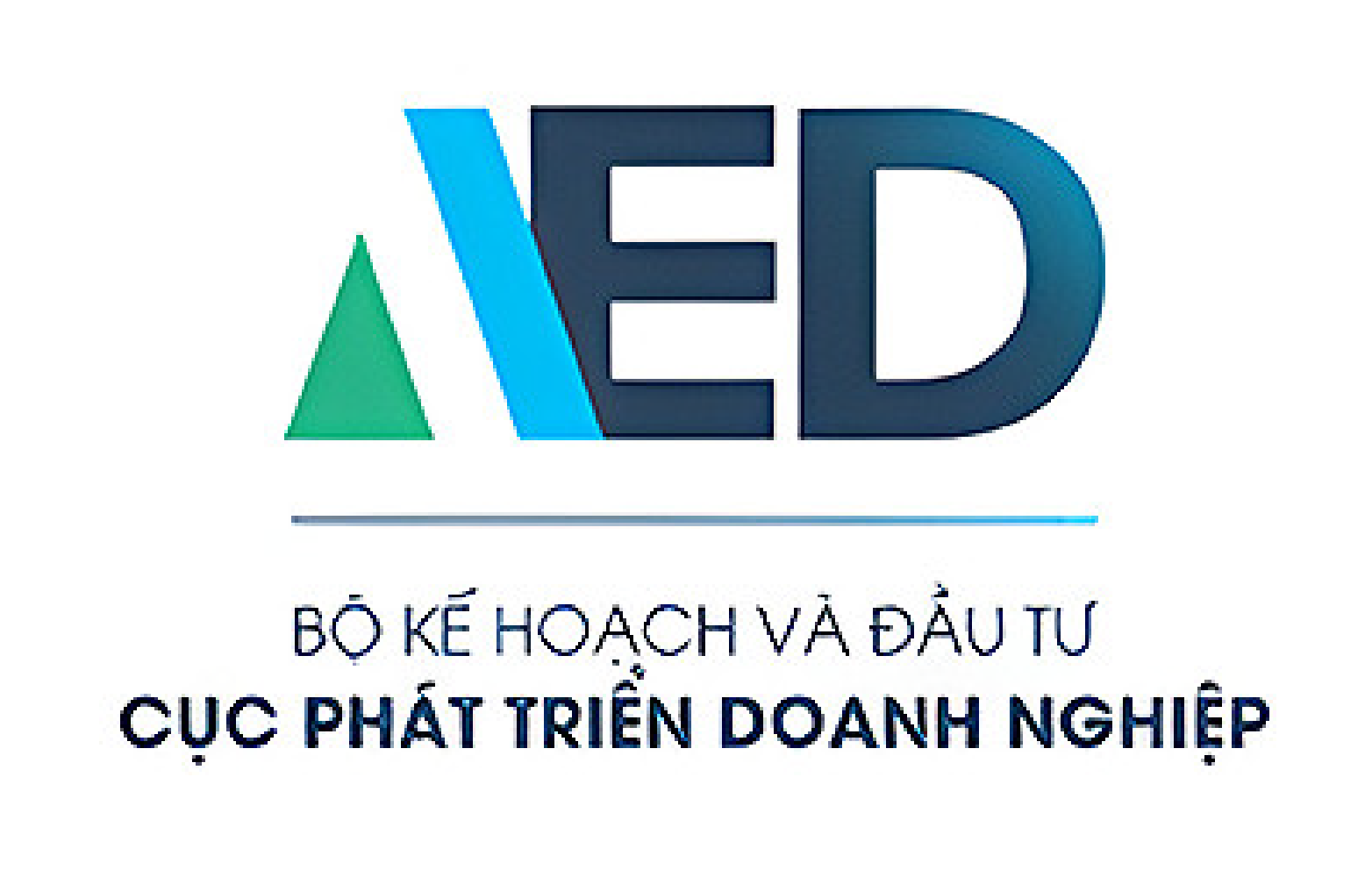 Development of Vietnam Enterprise Report 2020