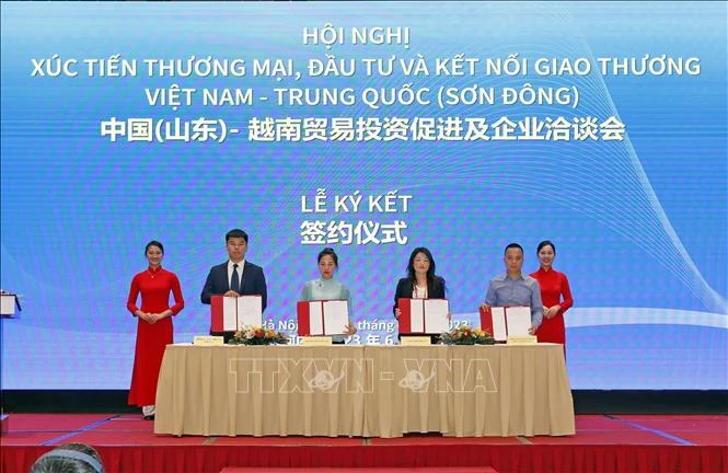 Conference Promotion of Trade, Investment and Economic Cooperation Vietnam-China (Quixiang)