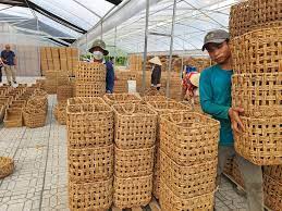 Innovation for breakthrough growth for SMEs