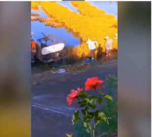 Kỹ thuật canh tác sáng tạo