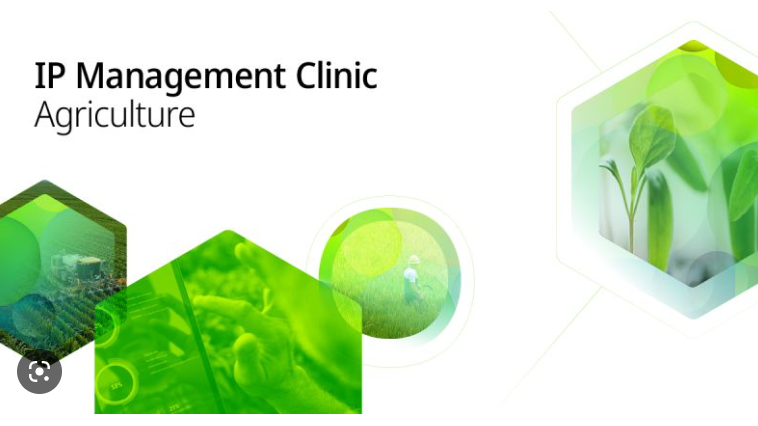 Mời ứng tuyển tham dự Chương trình IP Management Clinic năm 2023