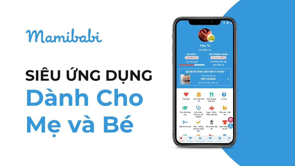 Mamibabi – Hành Trình Vươn Ra Quốc Tế & Giải Thưởng WSA